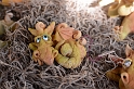 Kids_SFaire-2015 (219)